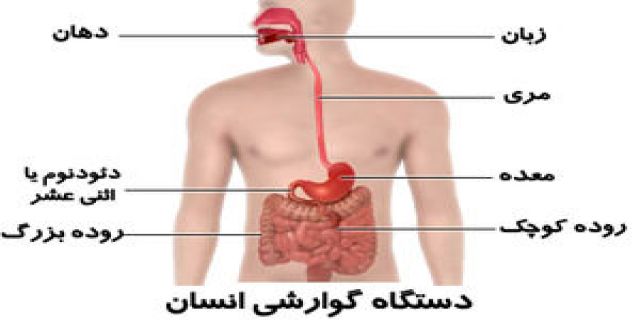 7  زنگ خطر برای یک مشکل گوارشی 