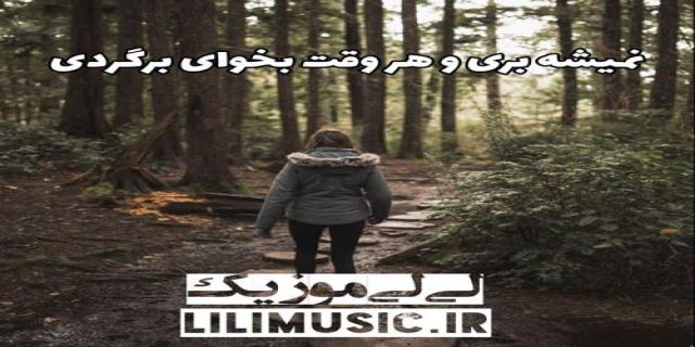 اهنگ نمیشه بری و هر وقت بخوای برگردی فرزاد فرزین