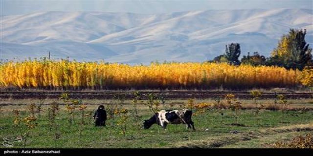 طبیعت پاییزی شهر الشتر - لرستان