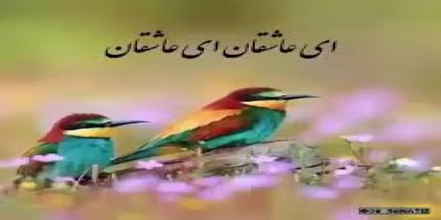 آهنگ سنتی ای عاشقان از ایرج بسطامی