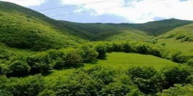 فیلم/ نادرترین گل جهان در نمین رویید