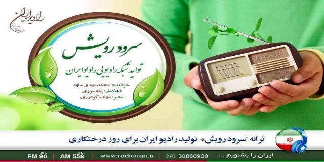 یکی زخم درختها را ببنه