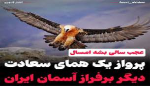 همای خوش ییلاق به روایت تصویر