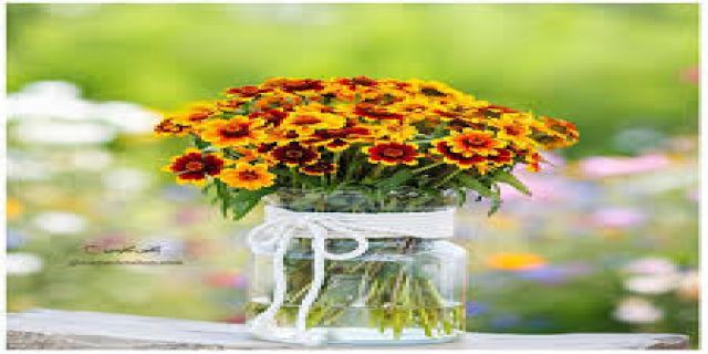 عید مبارک..با معین