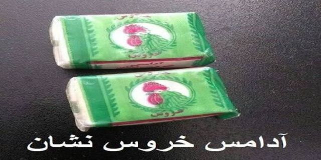 آرامش ترامپ با آدامس خروس نشان ودعوت و نس به جویدن